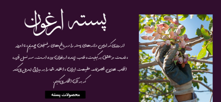 بنر