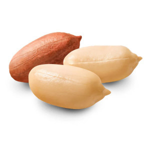 بادام زمینی